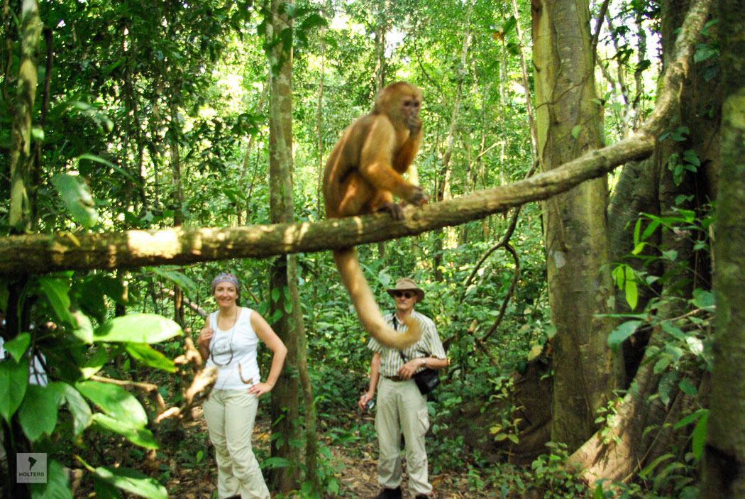 Exkursion im Dschungel
